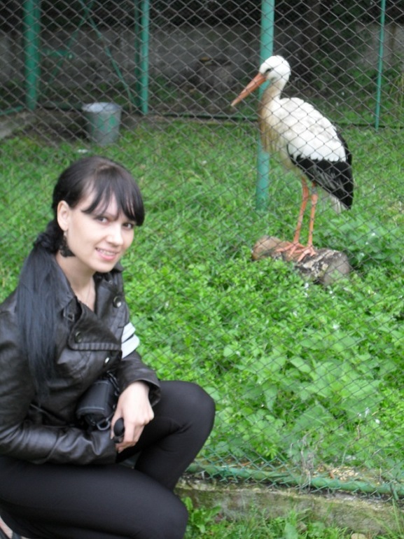 Ну чтож... Сегодня 28 ДЦ... Завтра день Х...