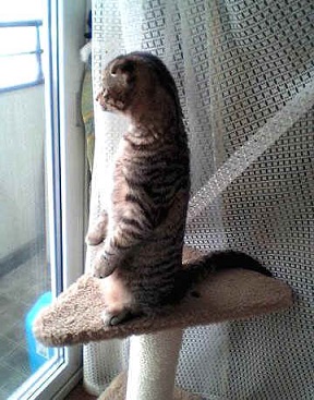 Трудно делиться самым сокровенным...