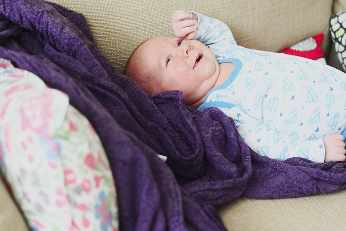 Серенький поссум