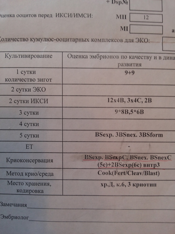 нужна помощь