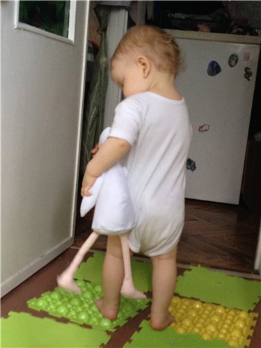 Первый Тильда-гусь