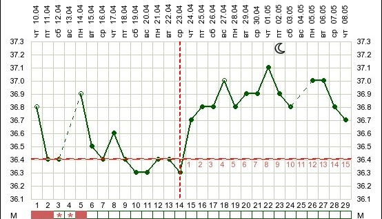 Может ли поднятся БТ при ановуляторном цикле?