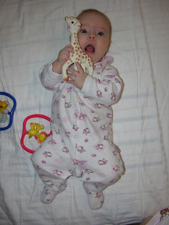 Vulli Жираф Софи (латексный)