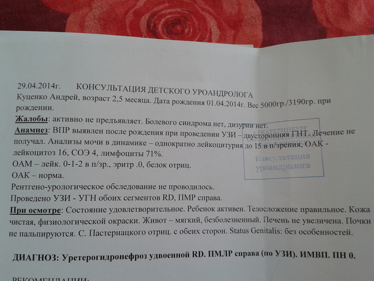 заключение