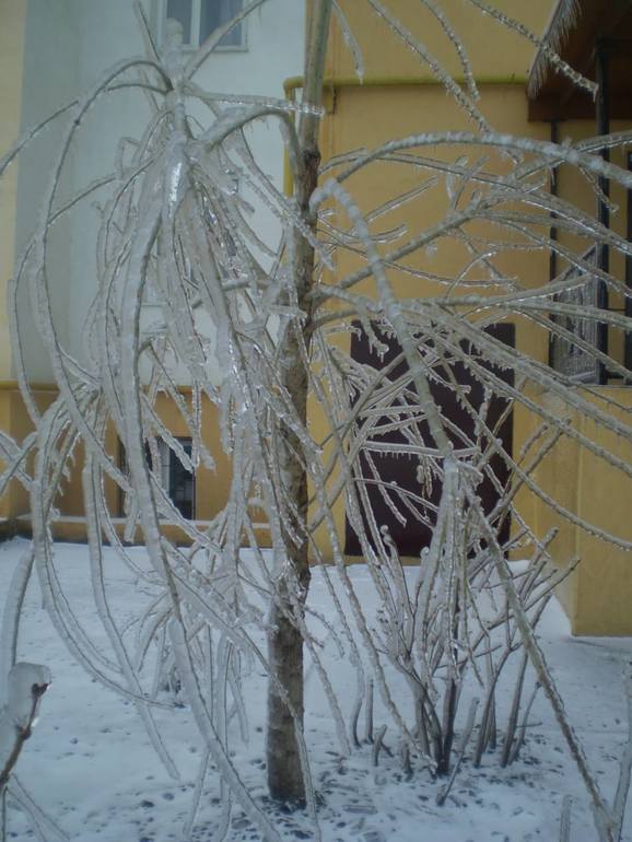 Ледяная зима в Одессе