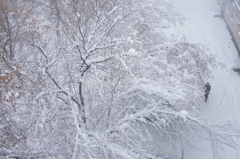 Зима недаром злится.......уж май в окно стучится