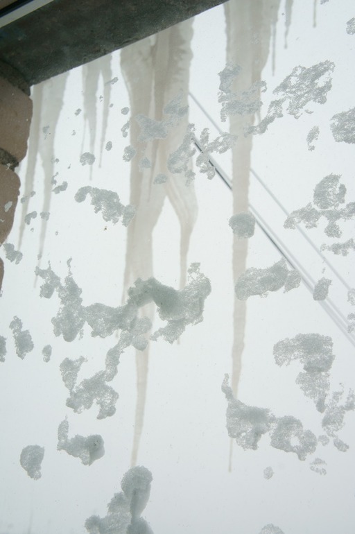 Утро, 26 апреля