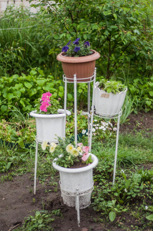 цветение в конце мая