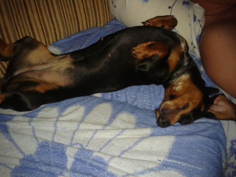 Наша любимица