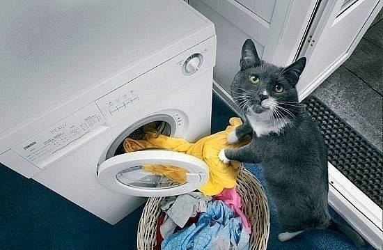 А Вы все успели перед НГ?!