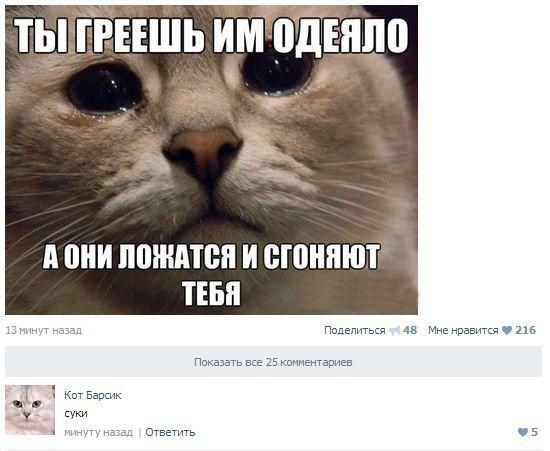 ))
