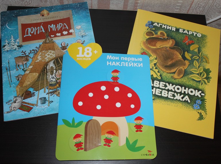 Дневник читателя июнь (2 года 1 мес.)