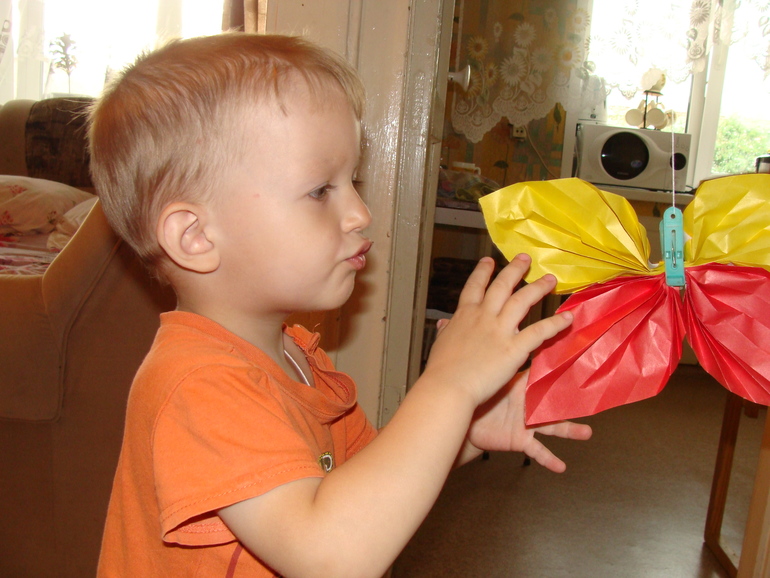 ТЗ "Бабочки-красавицы" проекта "Гуляем-изучаем"