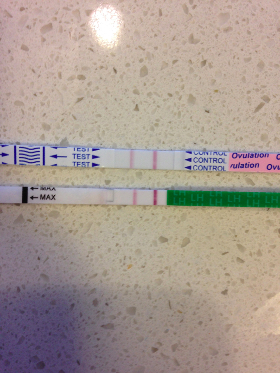 Тест на Овуляцию