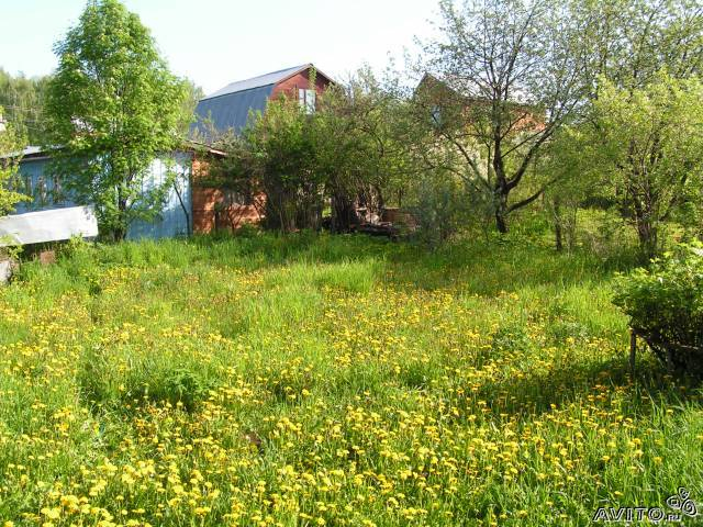 Сдам дачу на лето