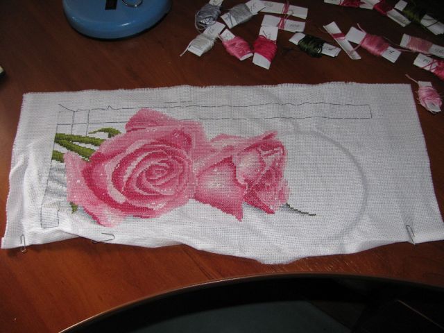 розовые розы в росе