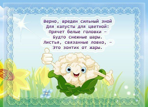 Веселые стихотворения про овощи.