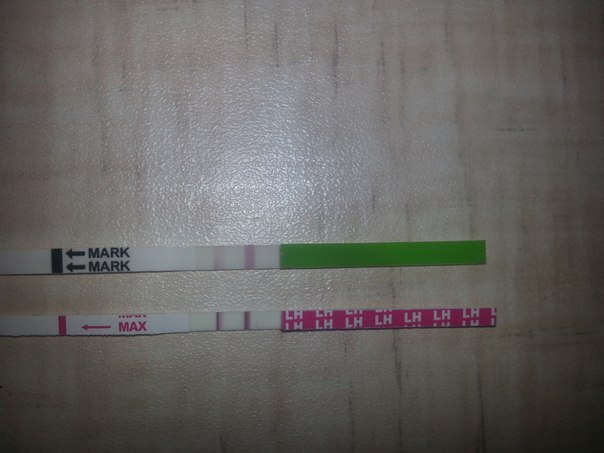 девочки опять я!помогите устала искать овуляцию