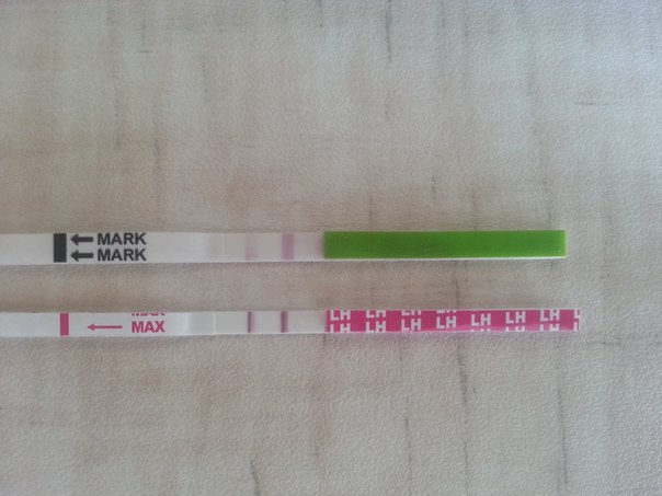 девочки опять я!помогите устала искать овуляцию