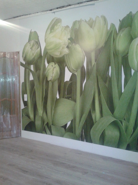 Фотообои Komar. Отзыв.