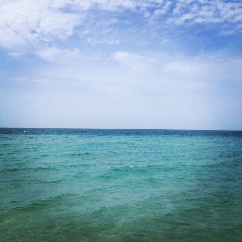 Хороший день...