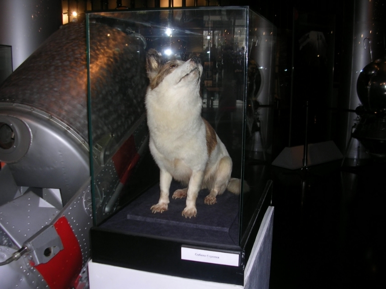 Музей космонавтики...