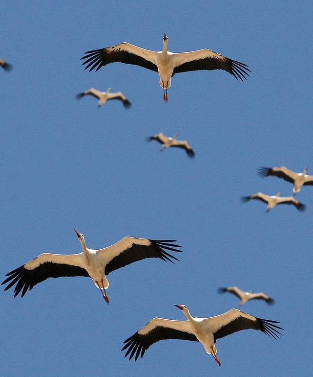 как ОНИ делают ЭТО