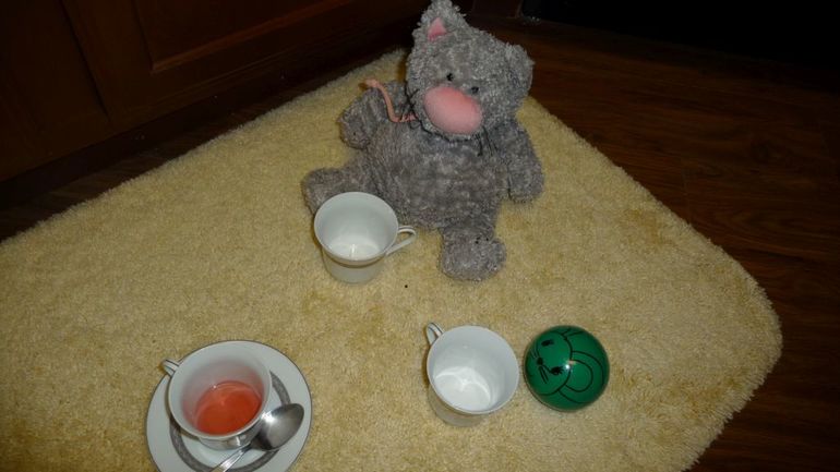 ТН Домашние питомцы -День 1 - КОШКА И МЫШКИ