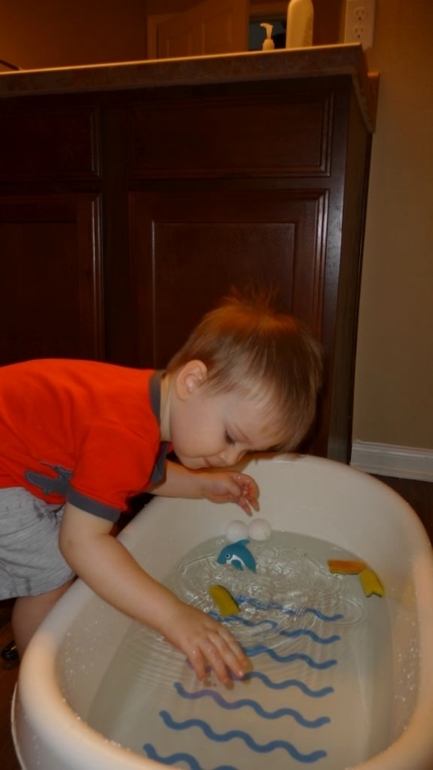 ТН Домашние питомцы -День 1 - КОШКА И МЫШКИ