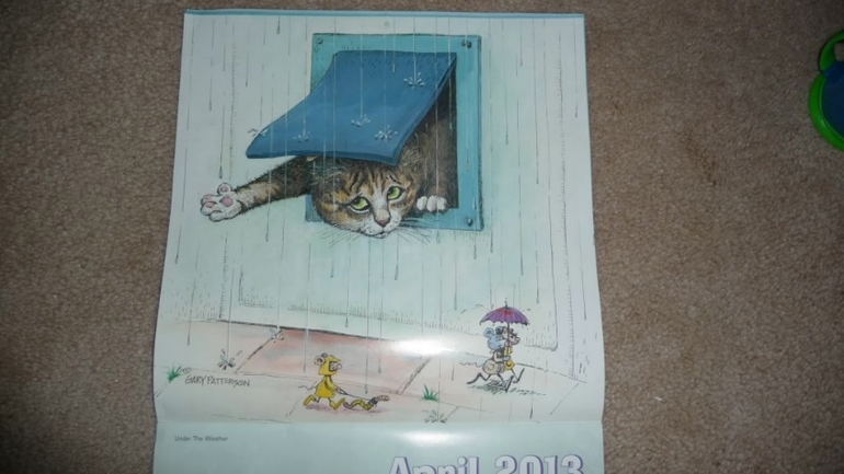 ТН Домашние любимцы - День 2 - Котята