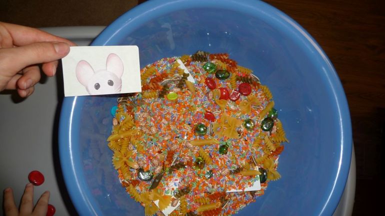 ТН Домашние питомцы -День 1 - КОШКА И МЫШКИ