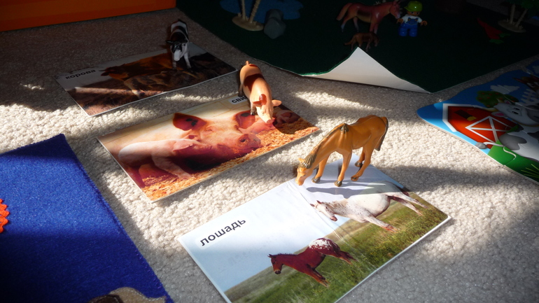 ТН Домашние животные - день 3 - ЛОШАДЬ