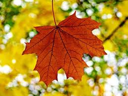 КЗ №10 использование обтравочных масок