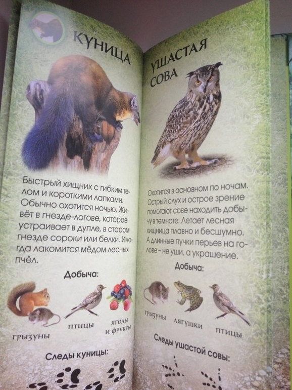 Супер-предложение от Май-шоп