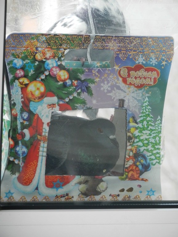 Кормушка для птиц