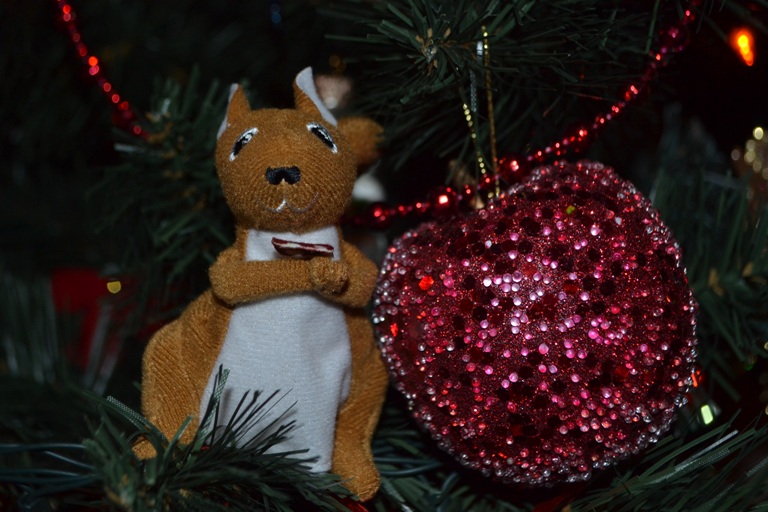 Солнечное яйцо