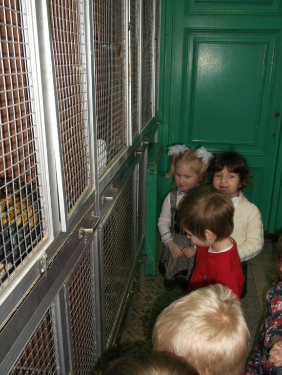 Театр «Уголок дедушки Дурова»