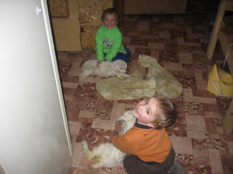 Ребята и козлята))