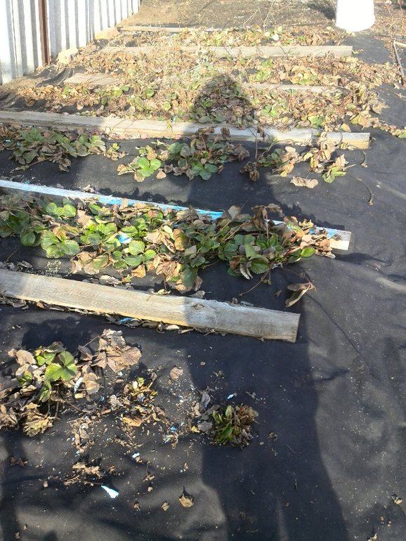 А у нас снова зима