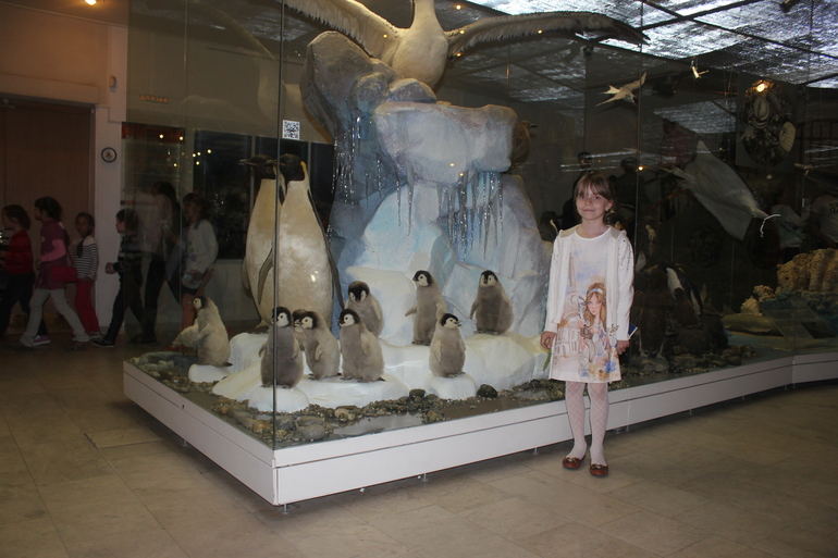 Музей Дарвина...