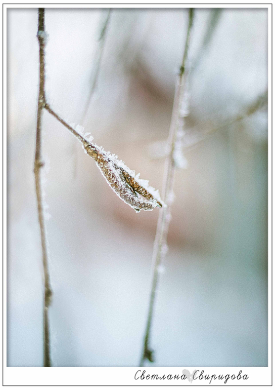 У нас тоже мороз)))