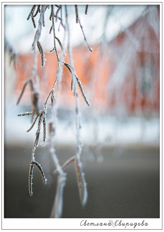 У нас тоже мороз)))