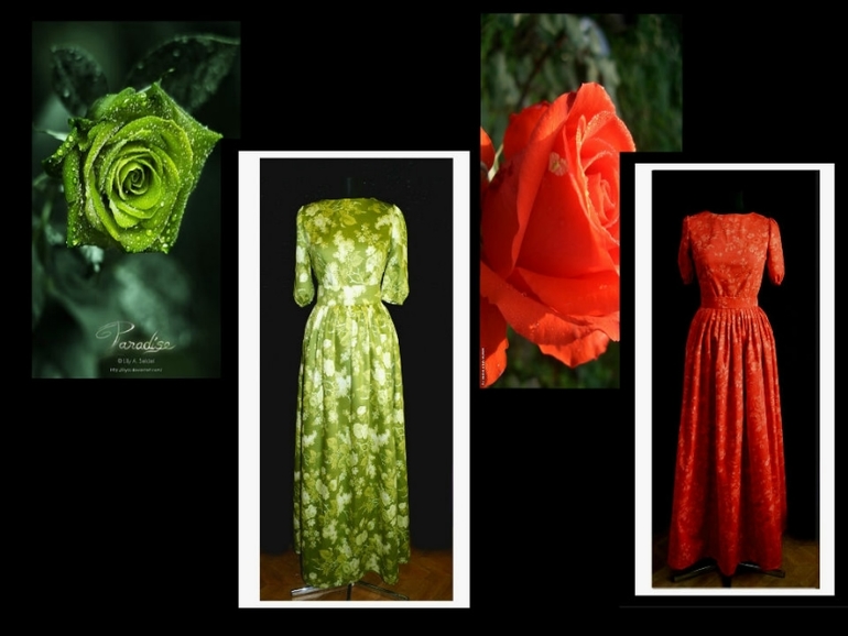 Цветы вошедшие в нашу жизнь!