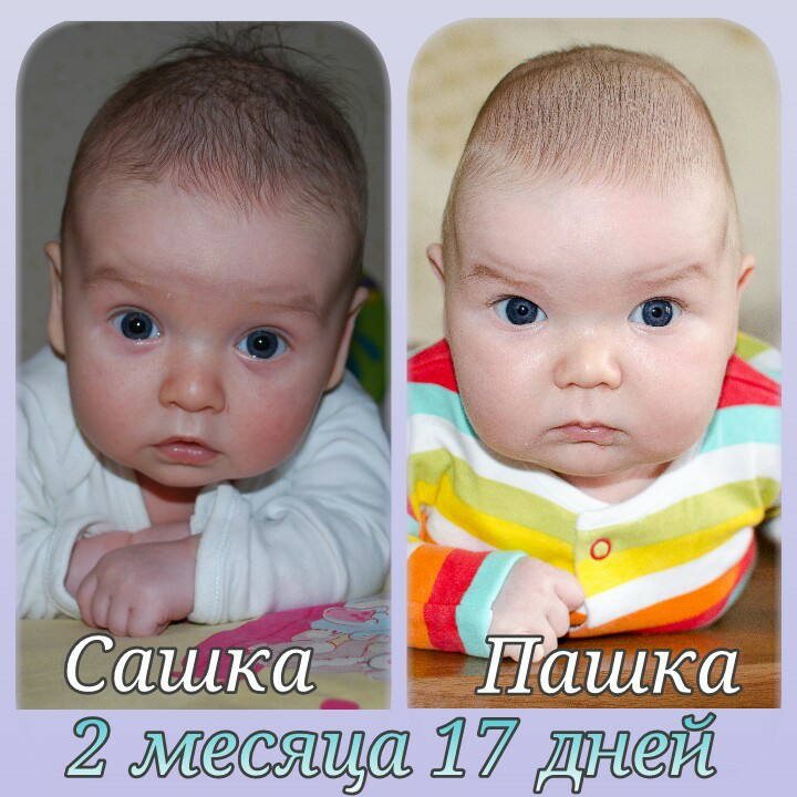 мои мальчишки