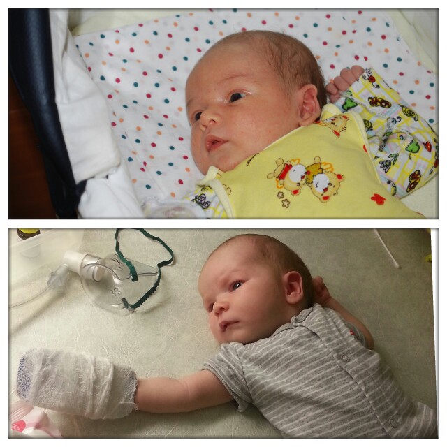 мои сыночки