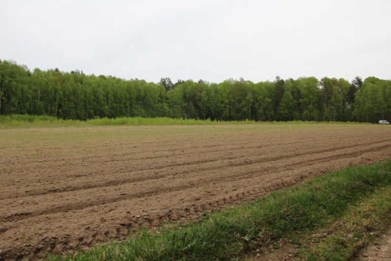 Продаю участок 5 Га