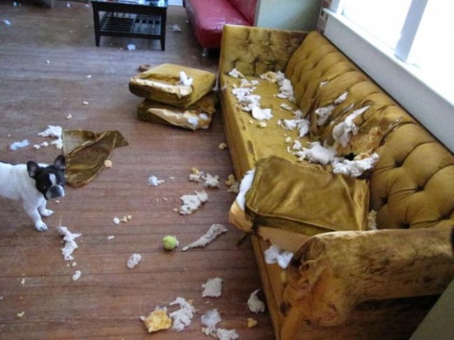 Приятно, когда вас ждут дома)