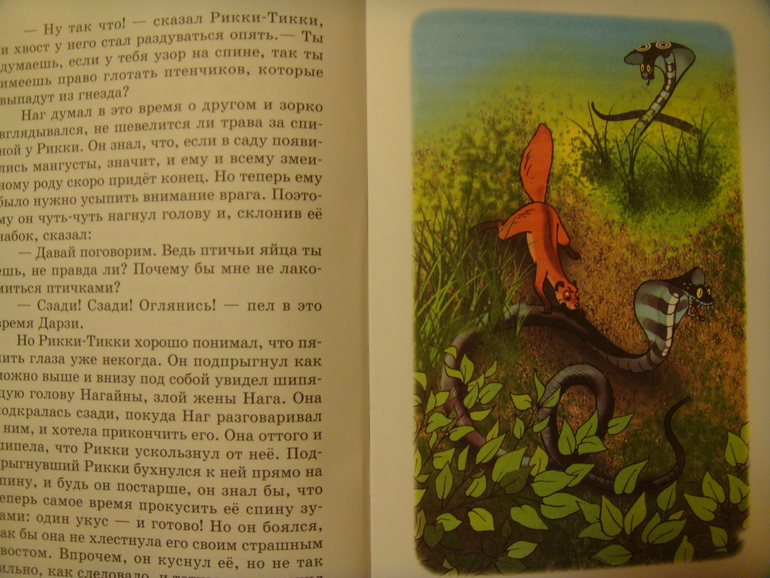 Пополнение библиотеки для Вовика