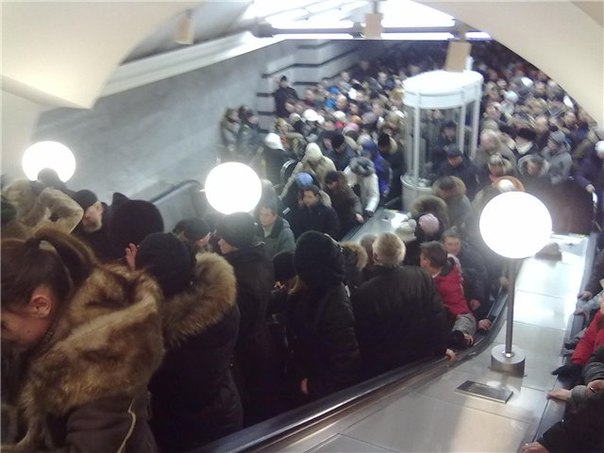 тронуло до глубины души