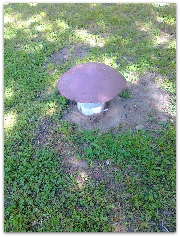 Весна глазами Любы-2.